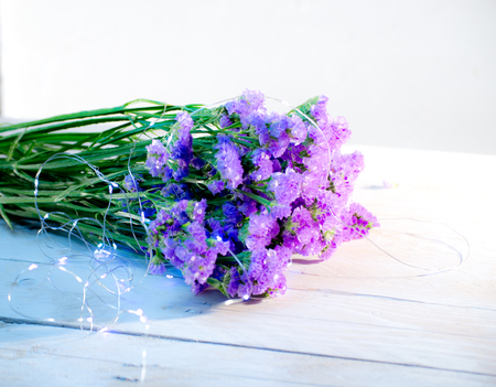 still life backgroundの写真素材