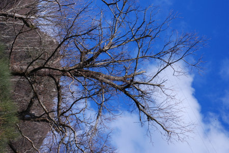 Italy : Mountain landscape in Campania,March 10, 2020.のeditorial素材