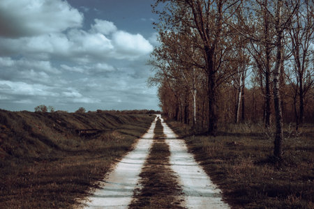 rural dirt road in the field with trees and blue sky - retro vintage effectの写真素材