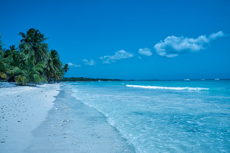Tropical beach with white sand and palms in Saona island (Dominican Republic).