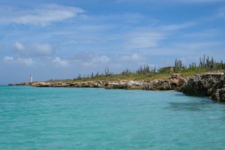 Travel photography - seascape with rocks and tropical vegetation in Cubagua island (Venezuela).の写真素材
