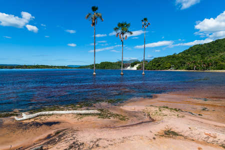 View of the lagoon in Canaima National Park (Bolivar, Venezuela).の写真素材