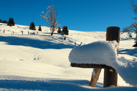 morning snowの写真素材