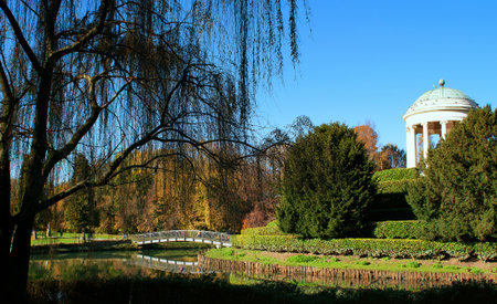 pond in the parkの写真素材