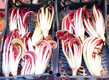 red radish - radicchio rossoの写真素材