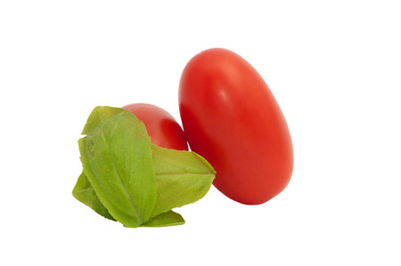 Tomato and basilicの写真素材