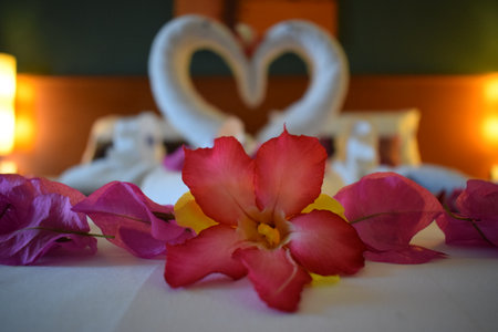 flower and sculpture or towelsの写真素材