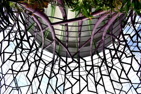 tree of life in Singaporeのeditorial素材