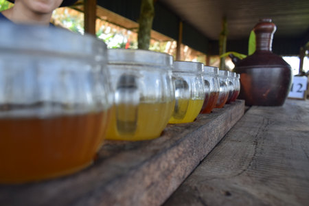 tasting of tea adn coffeeの写真素材