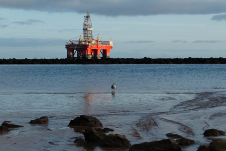 Las Teresitas beach sea view with oil plant and seagull in Tenerife, Canary Islands.