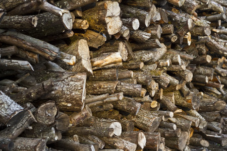 background with wooden logsの写真素材