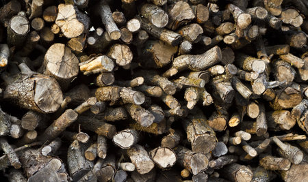 background with wooden logs
の写真素材