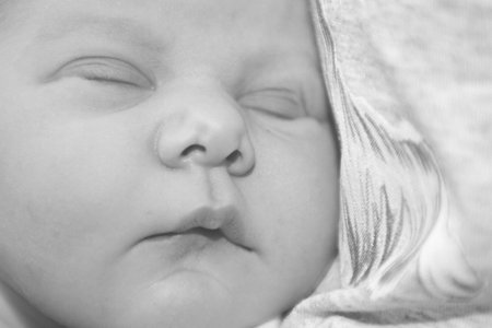 portrait of a newborn baby sleeping の写真素材