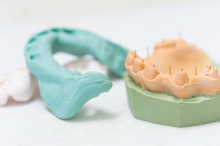 dental cast model and silicone tray