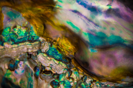 Abstract picture of a seashell from the inside.の写真素材