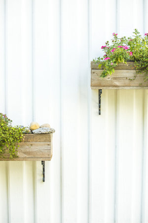 white wall with two pot of green plantsの写真素材