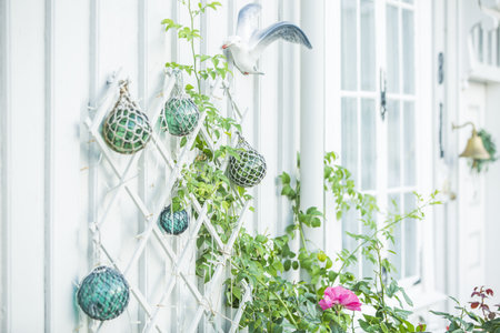 walls with different textures and green plantsの写真素材