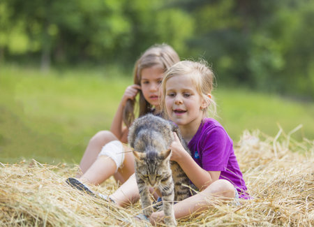 cute little girls playing in the hayの写真素材