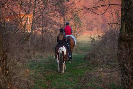 two people on horses riding in the nature