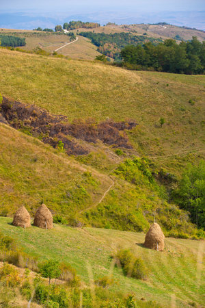 rural summer landscape in a gorgeous Transylvaniaの写真素材