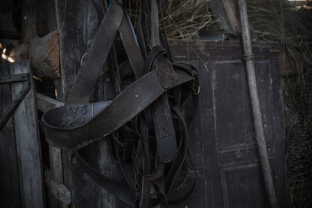 Leather harness in a barn, evoking rustic rural lifestyle and equestrian traditions.