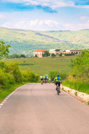 Cyclists riding on a scenic road surrounded by greenery, hills, and open nature.の写真素材