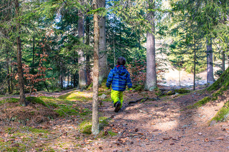 A child walking through a serene forest path surrounded by vibrant autumn foliage.の写真素材