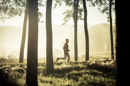 Man running alone in a forest of tree at the sunriseの写真素材