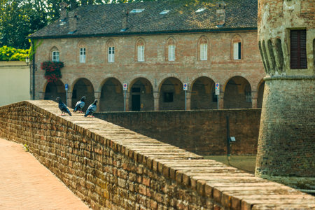pigeons on fortified wall in Rocca Sanvitale Fontanellato Castle, 13th Century, Italy, Emilia-Romagna region, Parmaのeditorial素材