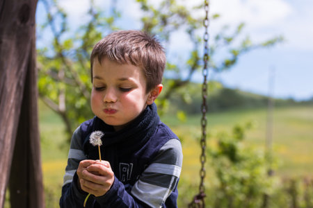 Blowing Dandelion Seeds in the Windの写真素材