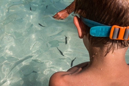 Child with Swimming Goggles Standing in Crystalline Sea with Fish Aroundの写真素材