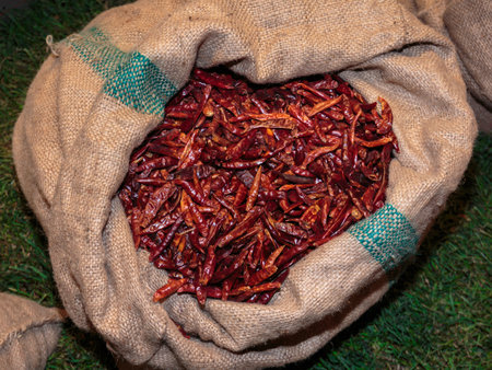 Red Dried Chili Peppers inside Burlap Sackの写真素材