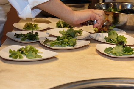Cooking inside Restaurant's Kitchen: Chef Preparing Dishes with Salad and Meat