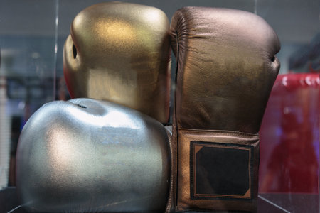Golden, Silver and Bronze Leather Boxing Glovesの写真素材