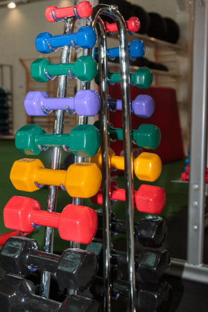 Rubber Colorful Dumbbells in different Sizes, Weight Fitness Equipmentの写真素材