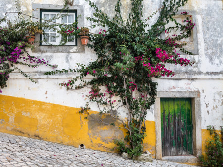 Colorful Facade and Small Bush in the Medieval Portuguese City of Obidosの写真素材