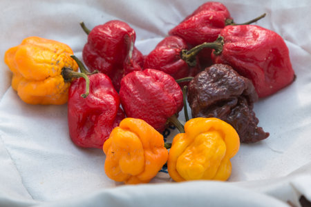 Red and Orange Dried Chili Peppers inside White Bowl.