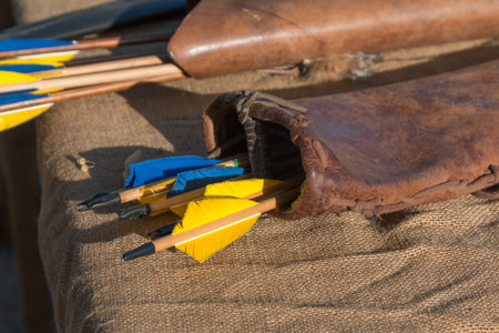 Group of Blue and Yellow Arrows inside Leather Case.の写真素材