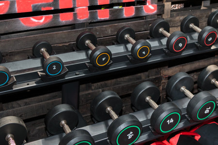 Black and Steel Dumbbells in Gym: Weight Fitness Equipment-の写真素材
