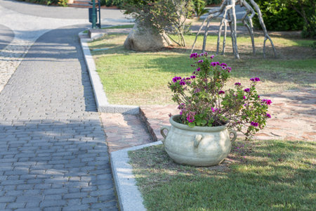 Antique Decorative Vase in Stone inside Park with Violet Flowers.の写真素材