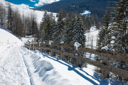 Wooden Fence and Snow-covered Firs in a Snowy Mountain Panorama.の写真素材