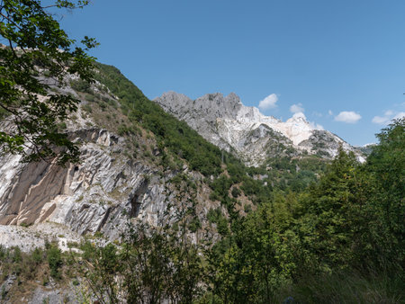View of a Mountainside in Carrara in Summer Time with Rocks Covered by Vegetation and Trees.