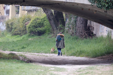 Man Walking with his Small Dog and a Support Stick on a Country Road passing under a Masonry Bridge.の写真素材
