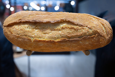 Classic Rustic Italian Loaf of Bread Resting on a Transparent Glass.