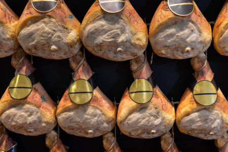 Group of Whole Raw Hams hung on a Wall.の写真素材