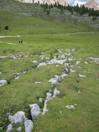 Detail of the Rocks of the Italian Alps and Grass Growing Above in the Natural Park of Fanes-Senes-Braies in the Italian Alps Mountains - Italy.の写真素材