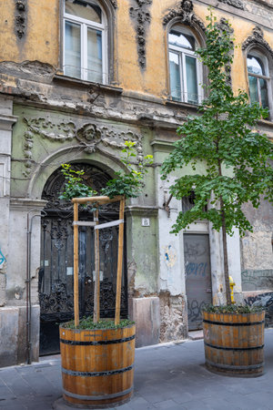 Urban Greenery: Trees in Barrels in CitySetting.の写真素材