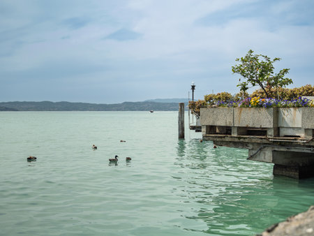 Ducks Swimming in Lake Near Concrete Pier.の写真素材