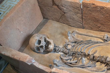 Ancient Human Skeleton - Late Roman - Remains Displayed Inside Casket Box.