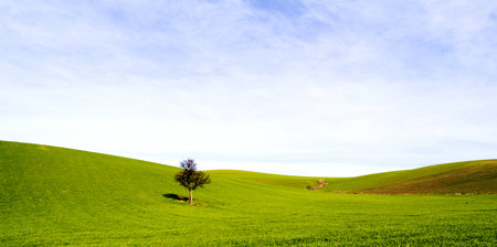 weat sowing campaignの写真素材